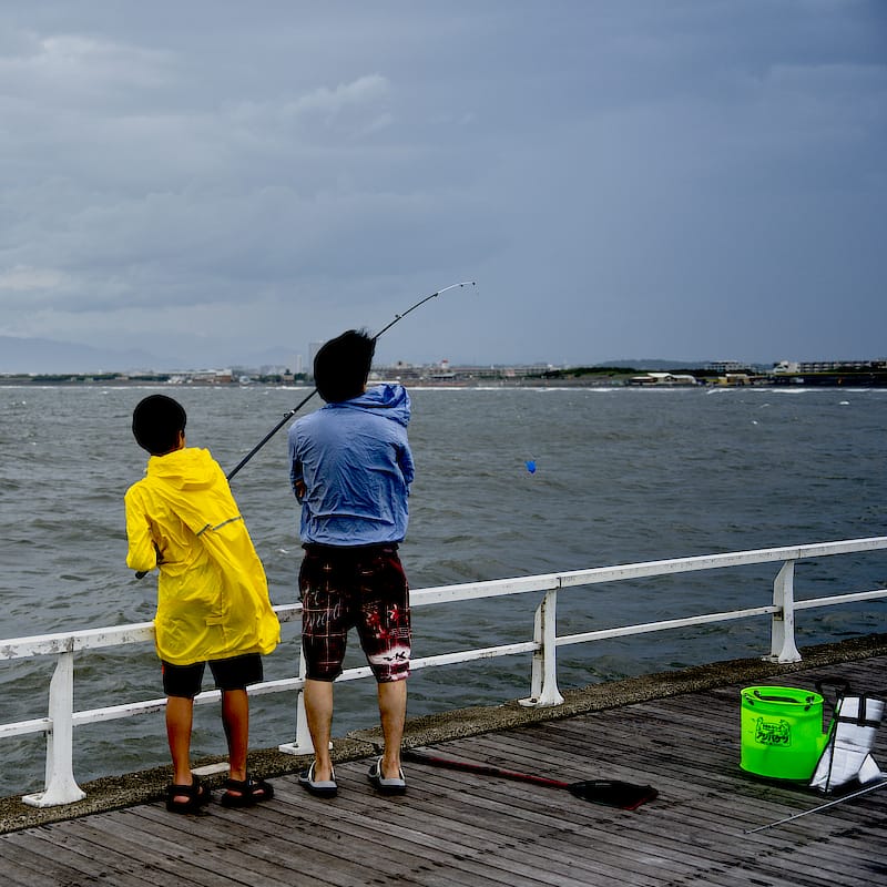 恋しいおもいで